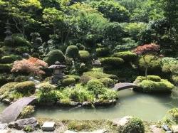 満福寺庭園